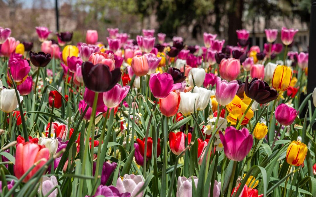 Goodbye winter….helllooooo spring!