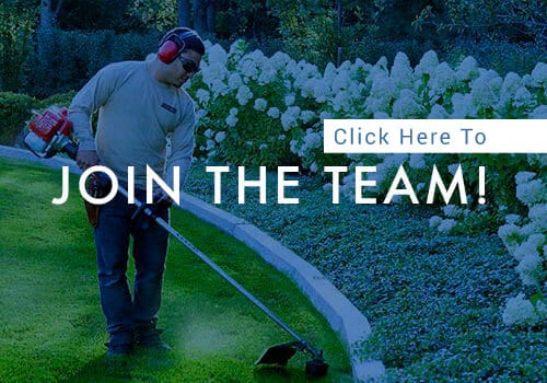 join the lifescape team