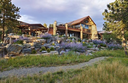 Au Natural: Managing Your Meadowscape
