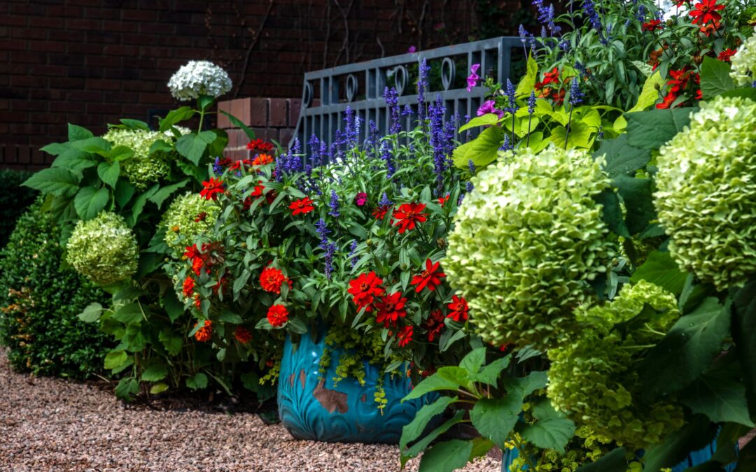 3 Tips For Growing A Summer Garden That Dazzles