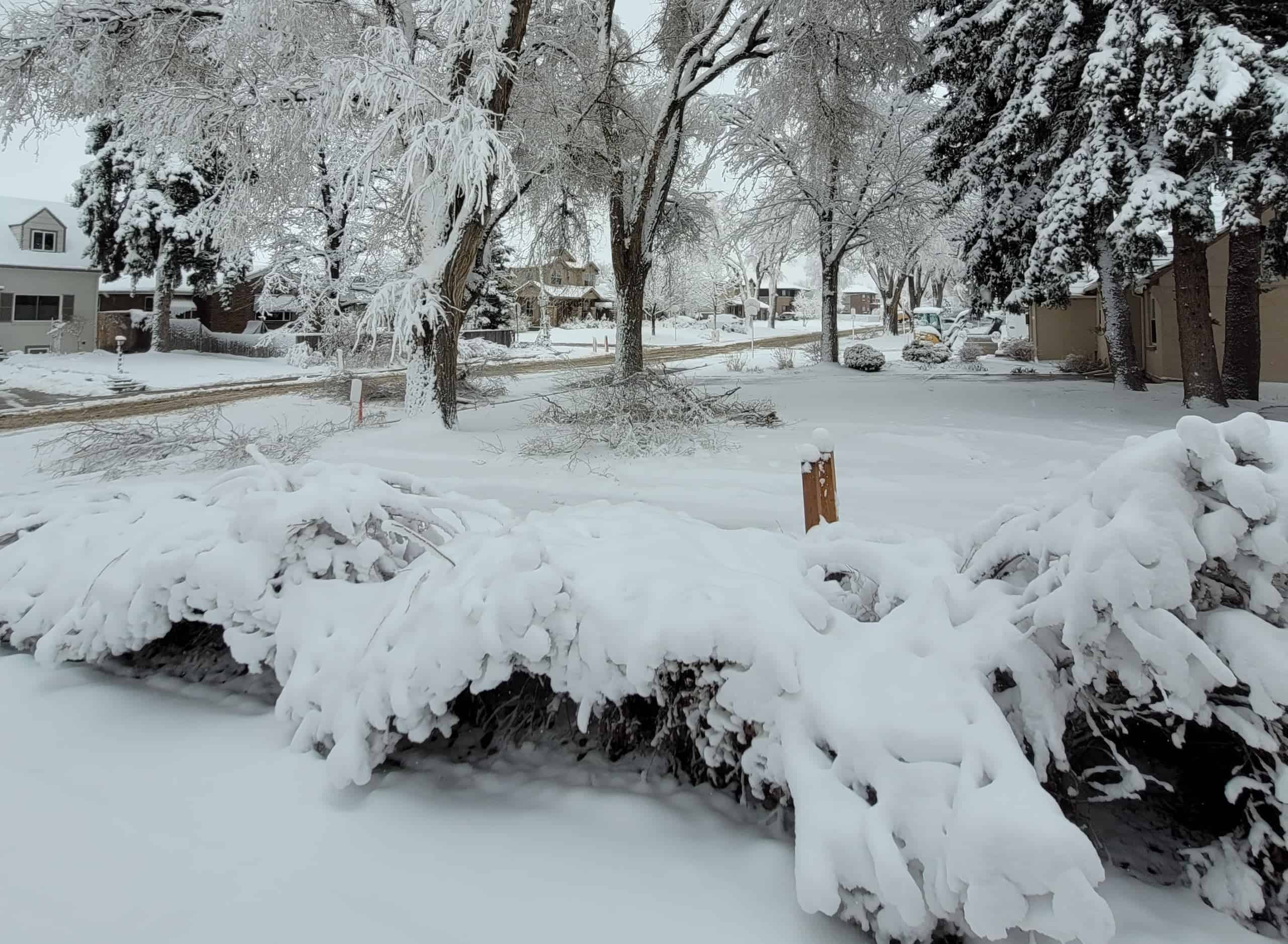 Late Spring Snow in Colorado