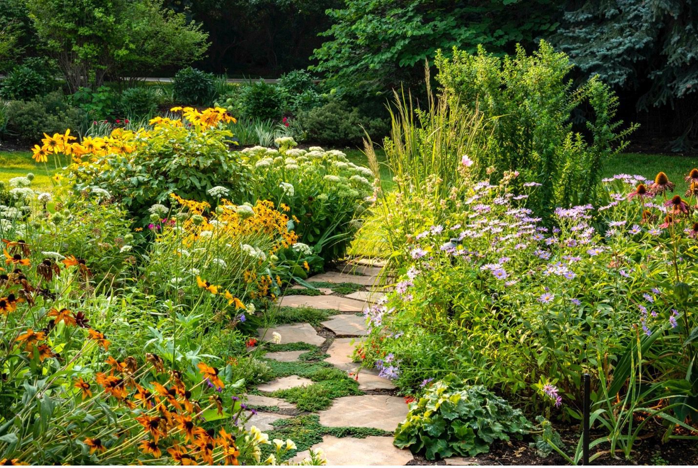 Water Conservation in your Garden | Lifescape Colorado