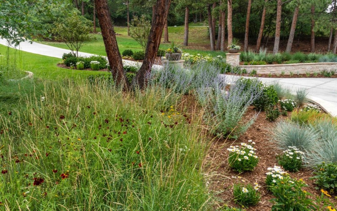 Water Conservation in your Garden