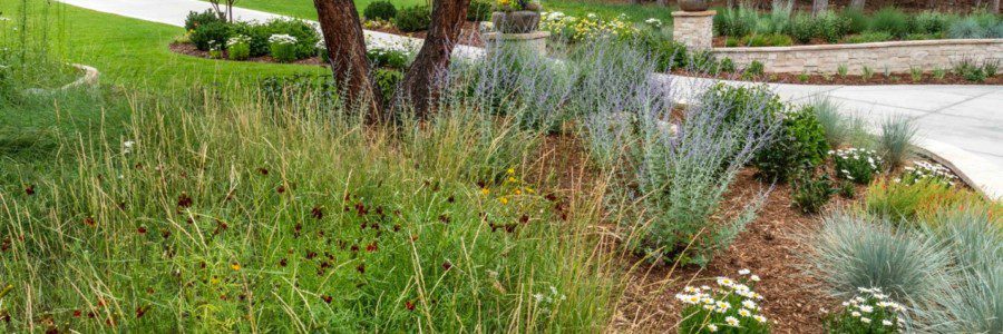 Water Conservation in your Garden