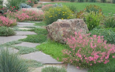 5 Secrets to the Perfect Xeric Garden