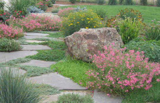 5 Secrets to the Perfect Xeric Garden