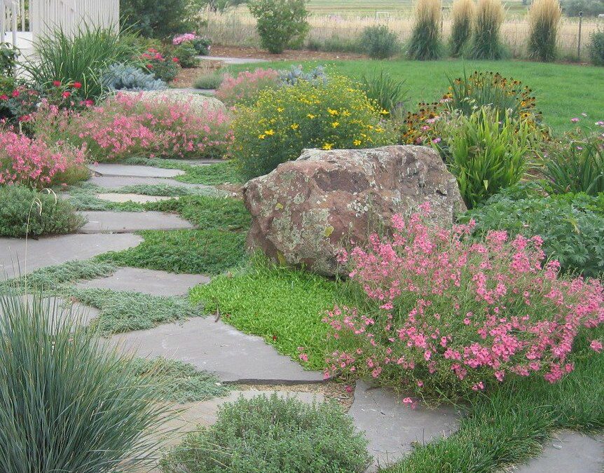 5 Secrets to the Perfect Xeric Garden