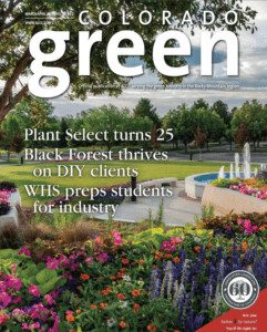 Sacred Grounds Cover