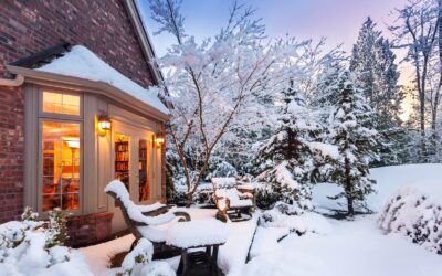 January Landscaping Tips:
Winter Care for a Healthy Spring