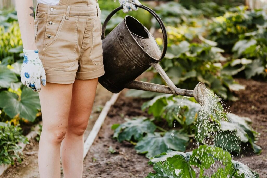 urban gardens