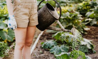 Blog Featured – The Hidden Oasis: How Urban Gardens Foster Mental Health and Well-Being