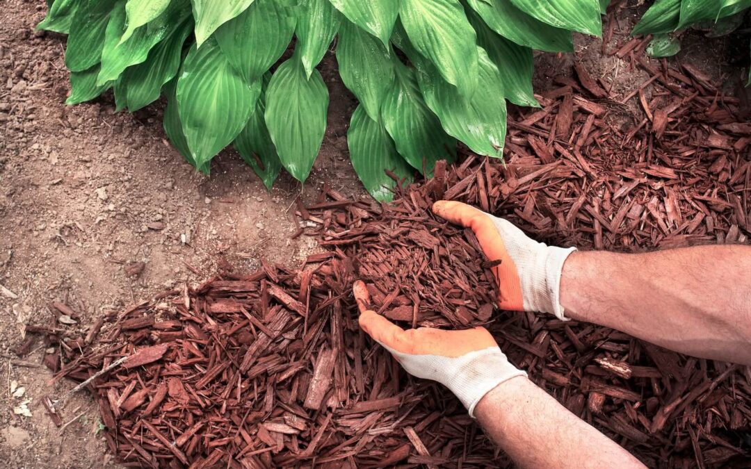 Mulching: What You Can Do & When to Call the Pros