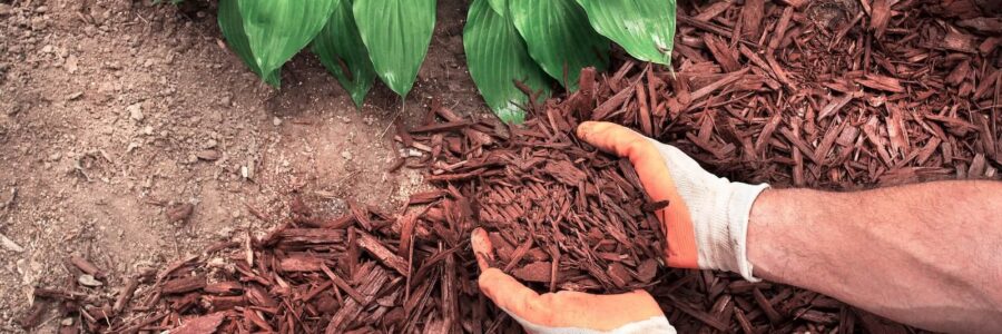 Mulching: What You Can Do & When to Call the Pros