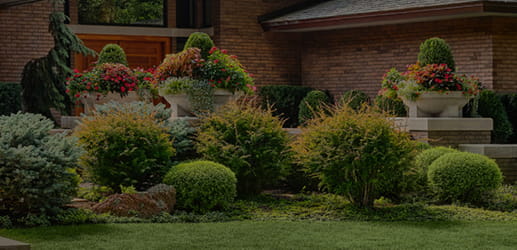 Belcaro Gardens