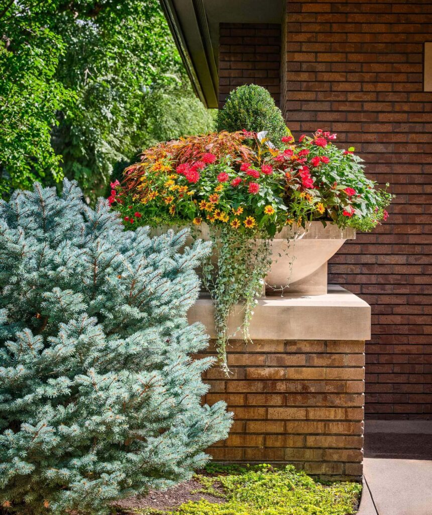 belcaro garden landscape design