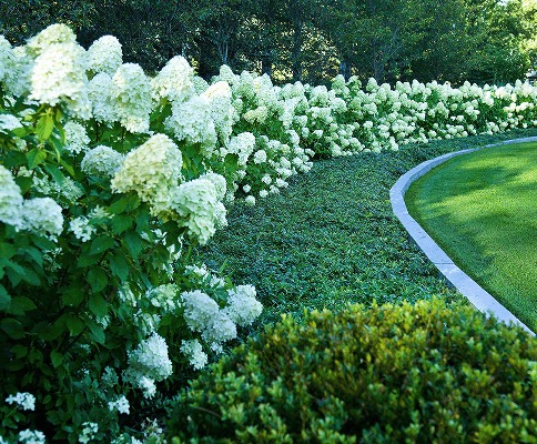 high-end-landscape-career high end landscape career