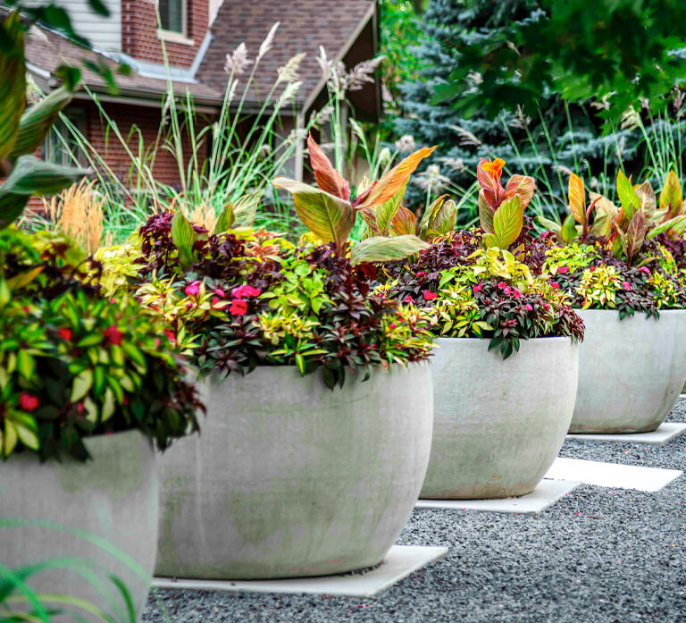 landscape enhancements