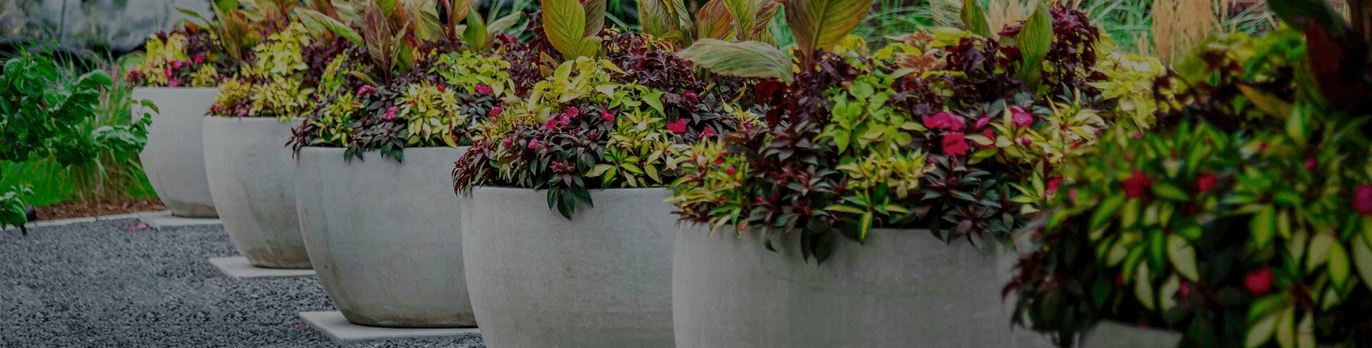 lifescape-careers lifescape careers