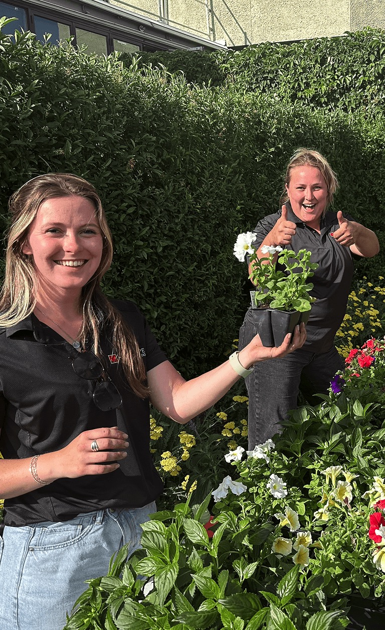 xeriscaping-services xeriscaping services