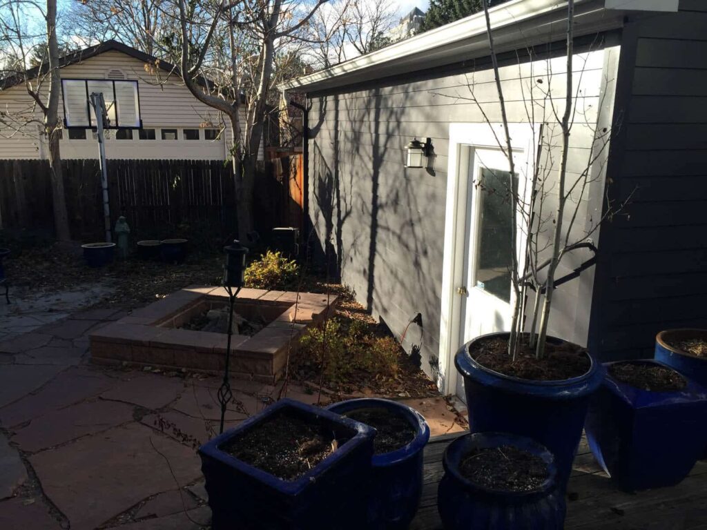 after opulent backyard design lush planting masterplan