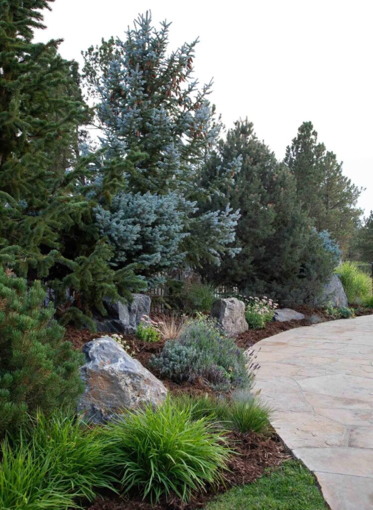 architectural pool lighting system evening illumination