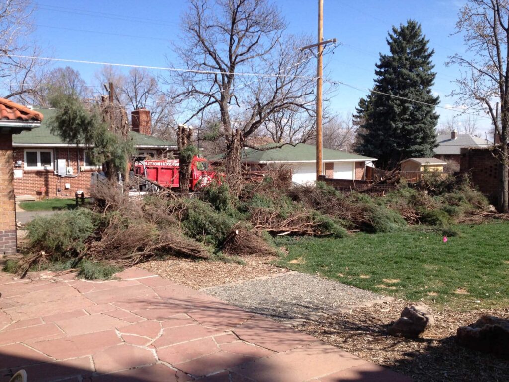 before luxury outdoor living space backyard remodel