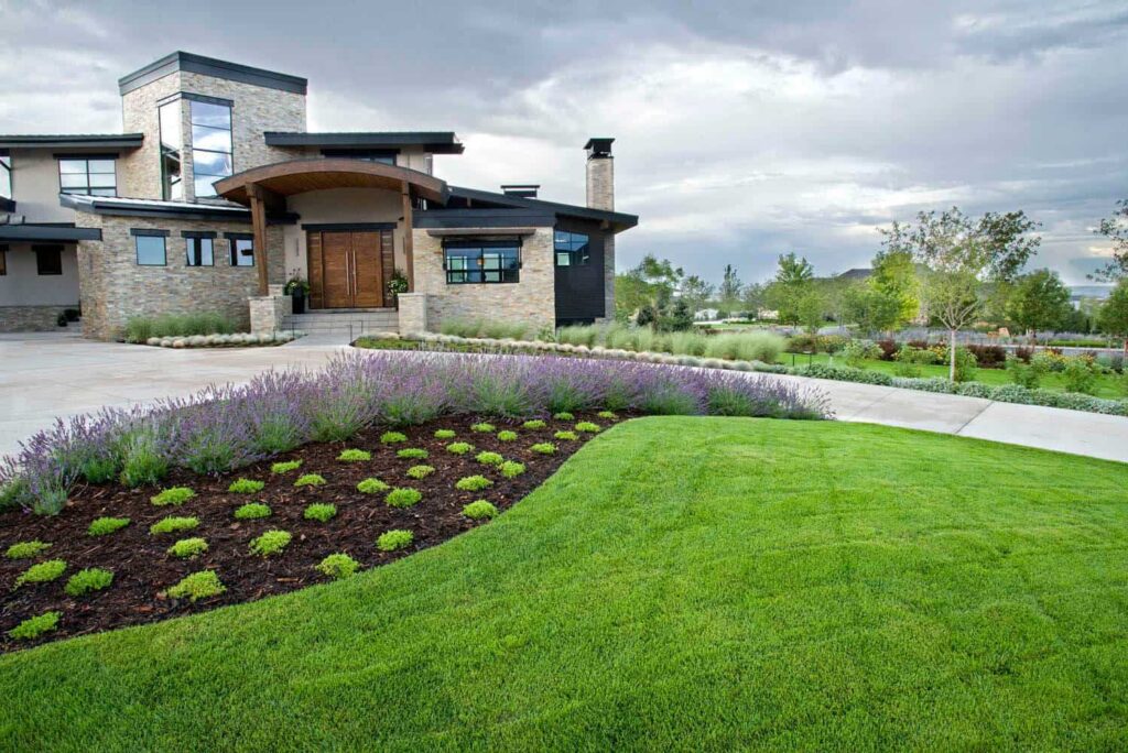 best native plant selection front yard luxury home