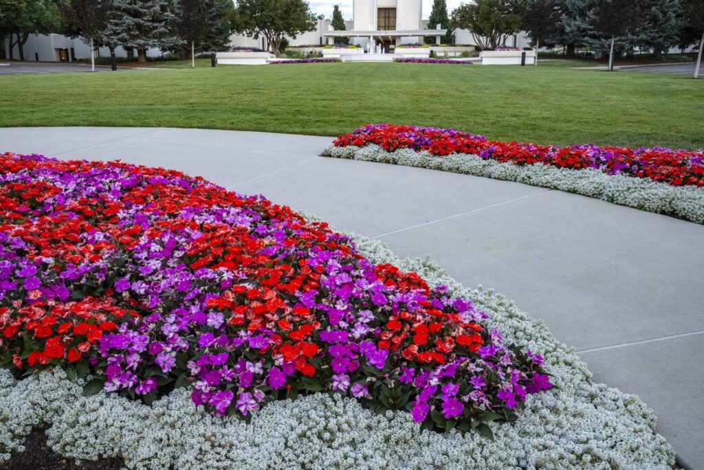 commercial landscape contractor large scale hardscaping