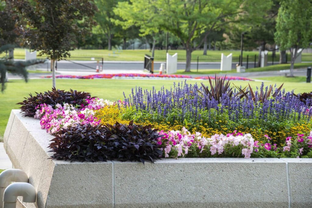 commercial landscape maintenance for structured courtyard