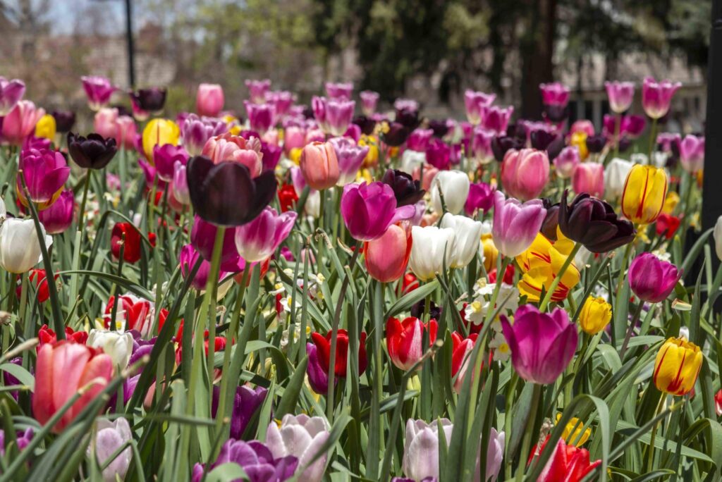custom stone masonry retaining wall installation detail