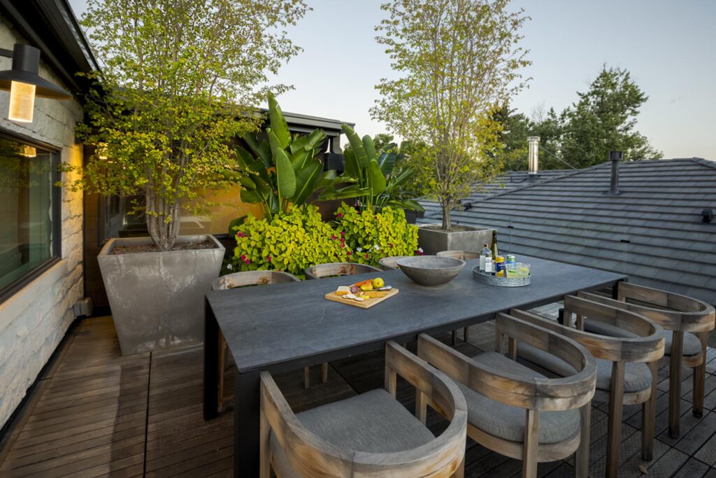 exquisite specimen tree selection private landscape architect