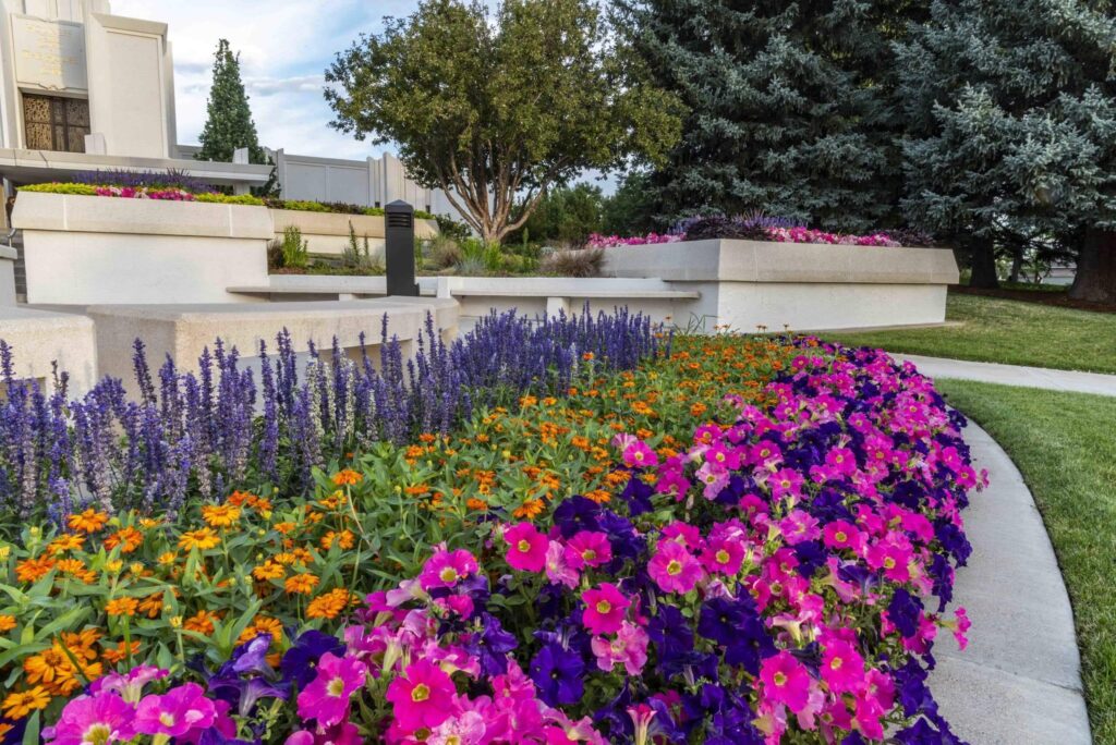 formal geometric planting beds institutional landscape