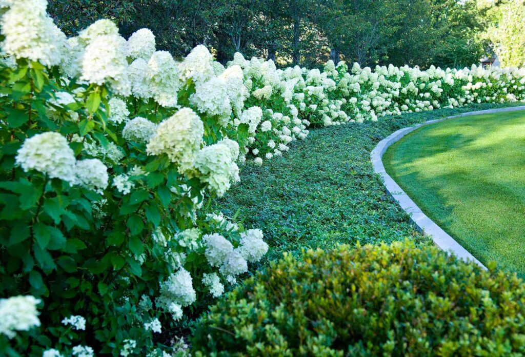 full view georgian charm estate landscape masterplan