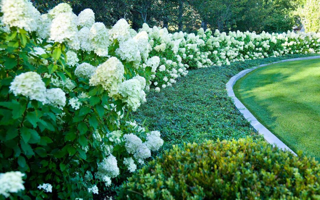 Beautiful Backyard Landscaping Ideas for Fall and Beyond