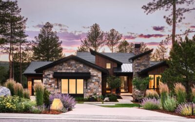 What to Expect During a Professional Landscape Design Process