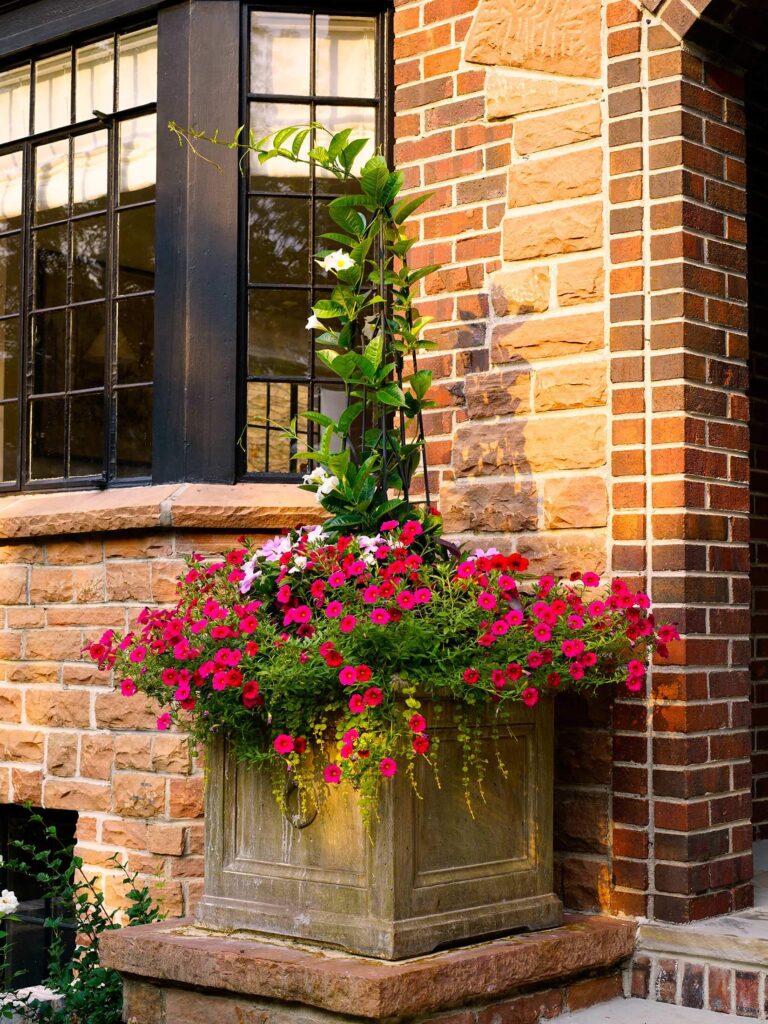 historic harmony garden pathway design elegant entry