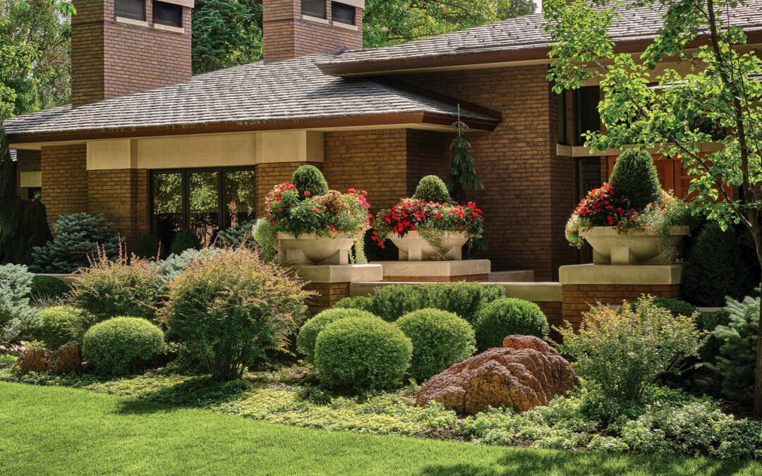 What to Expect During a Professional Landscape Design Process
