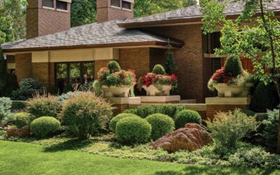 What to Expect During a Professional Landscape Design Process