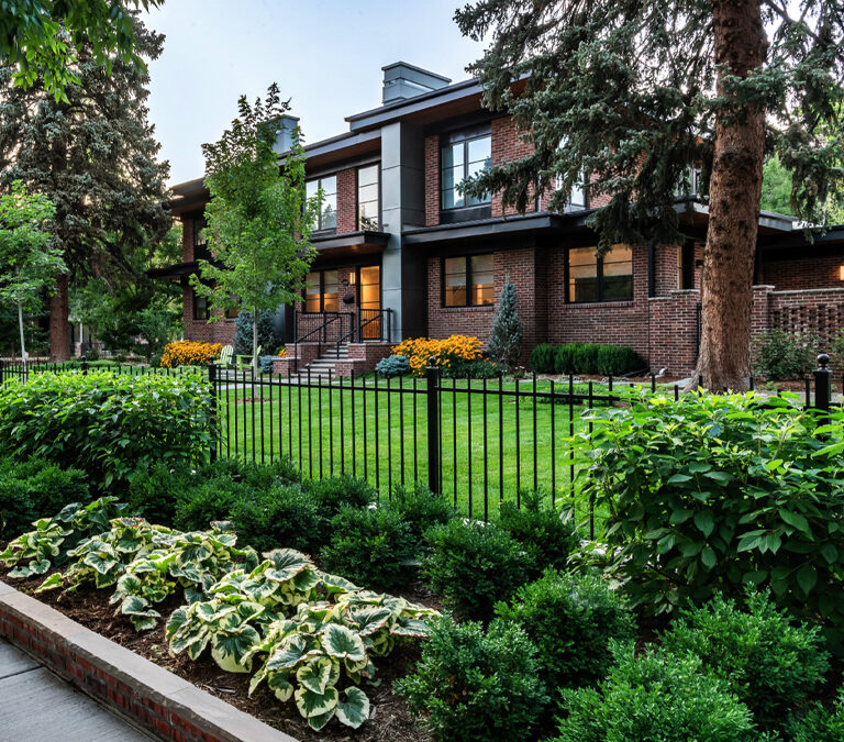 How to Help Your Denver Landscape Recover from Summer Heat Stress