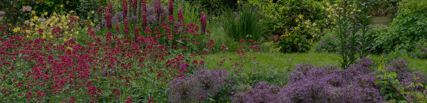 lifescape colorado blog