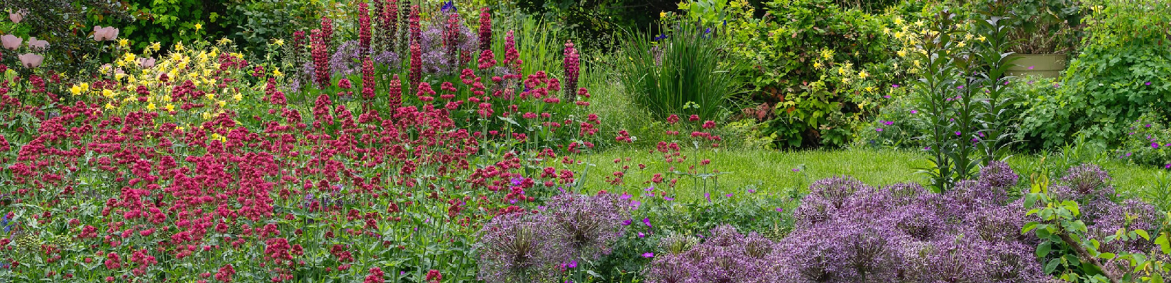 lifescape colorado history