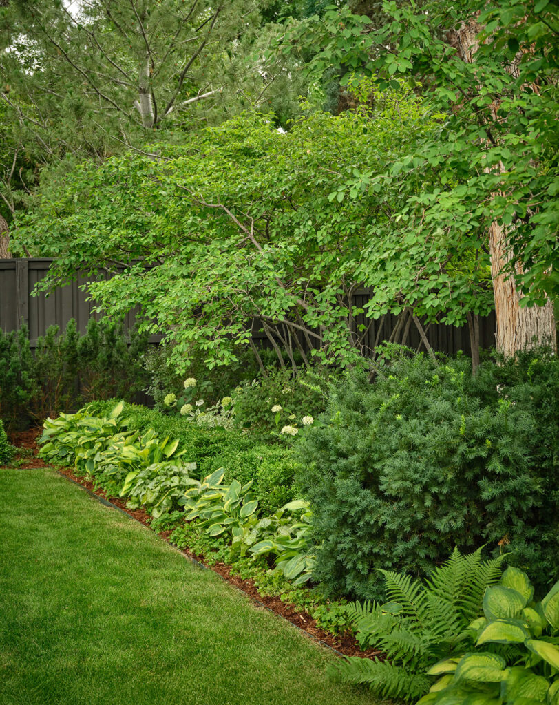 lush green lawn care maintenance clean formal patio