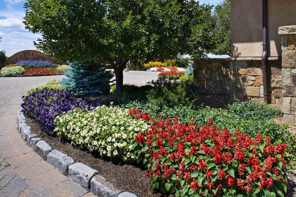 luxury commercial outdoor bar kitchen clubhouse amenity