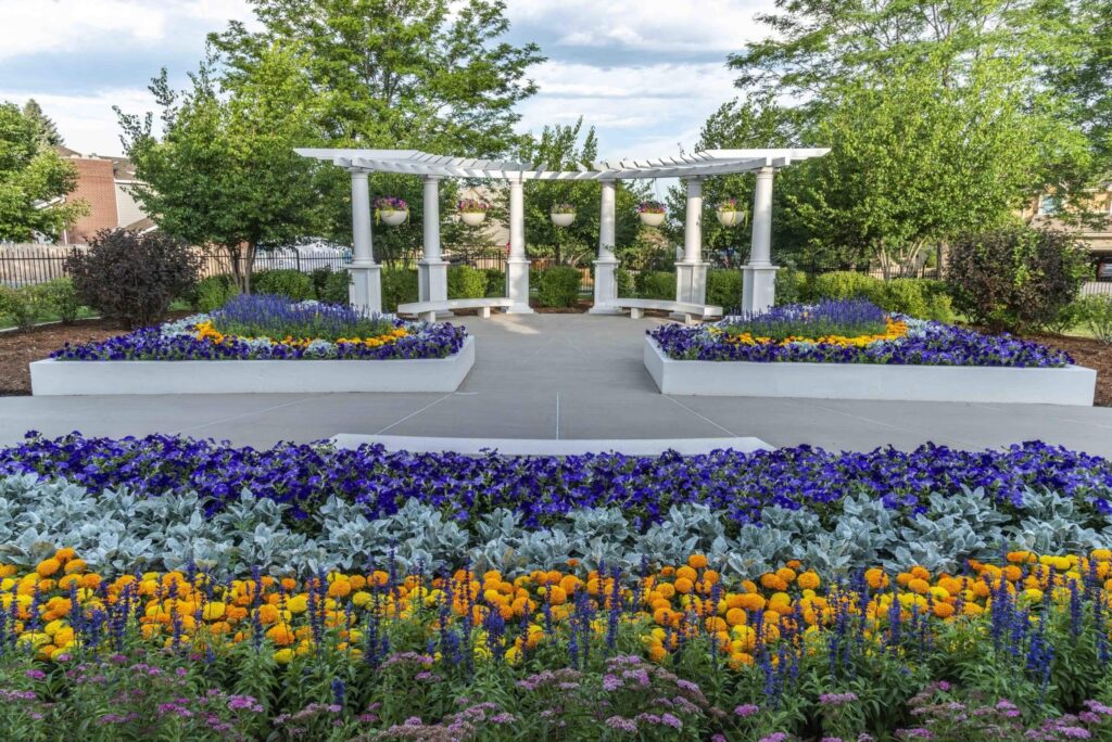 modern commercial planter boxes structured courtyard