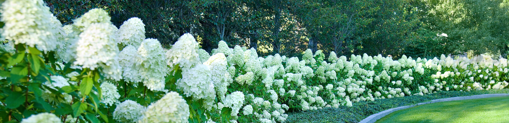 property care and maintenance