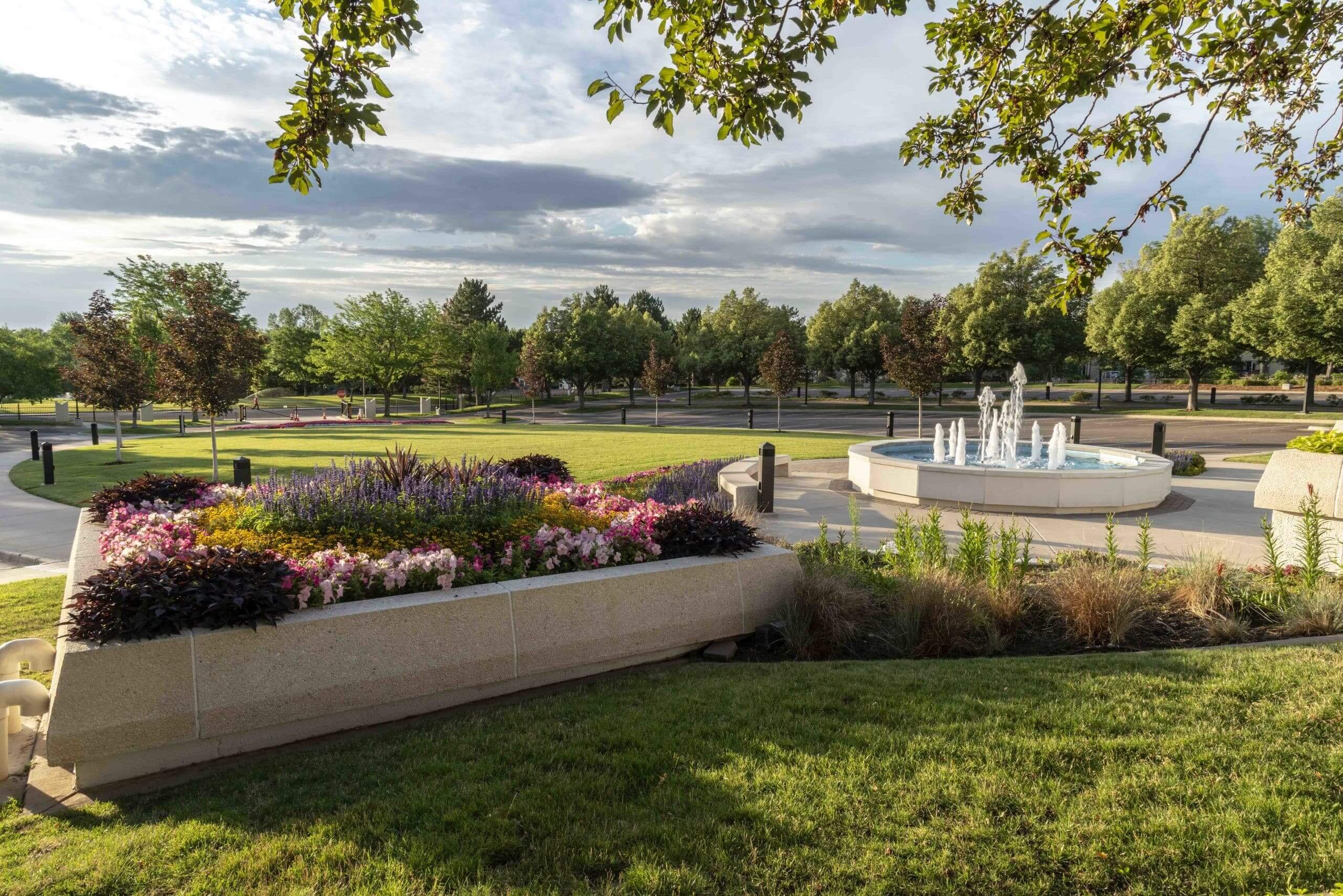 lifescape colorado services