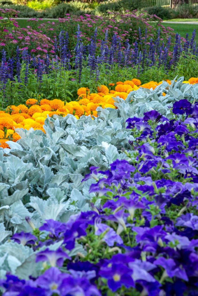 sacred grounds large format pavers and stone coping