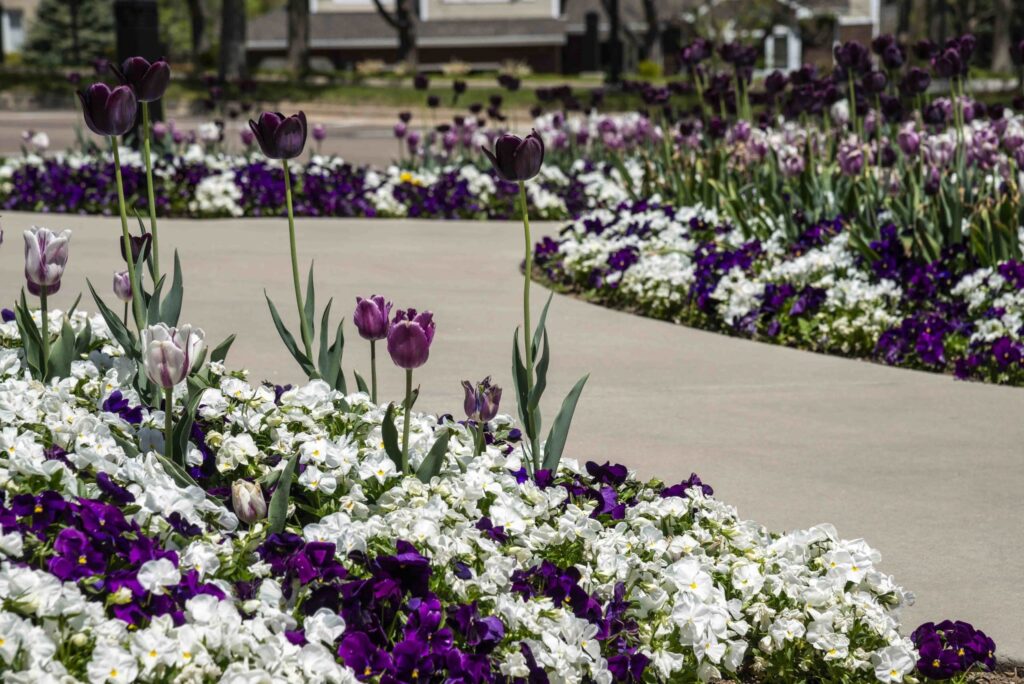 sacred grounds meditation garden planting design ideas