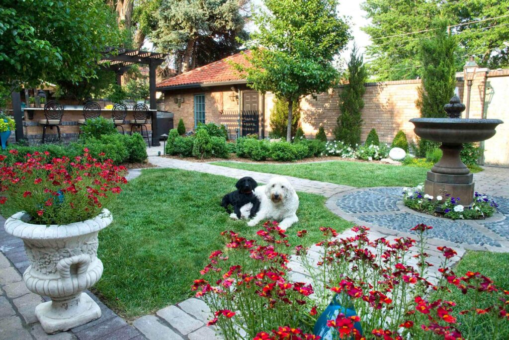 york street after luxury outdoor living space complete remodel