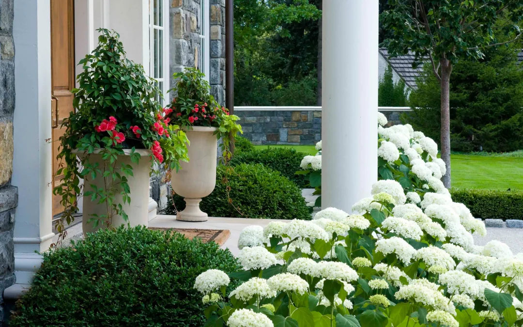 10 Smart Front Range Landscaping Ideas for Colorado Homes